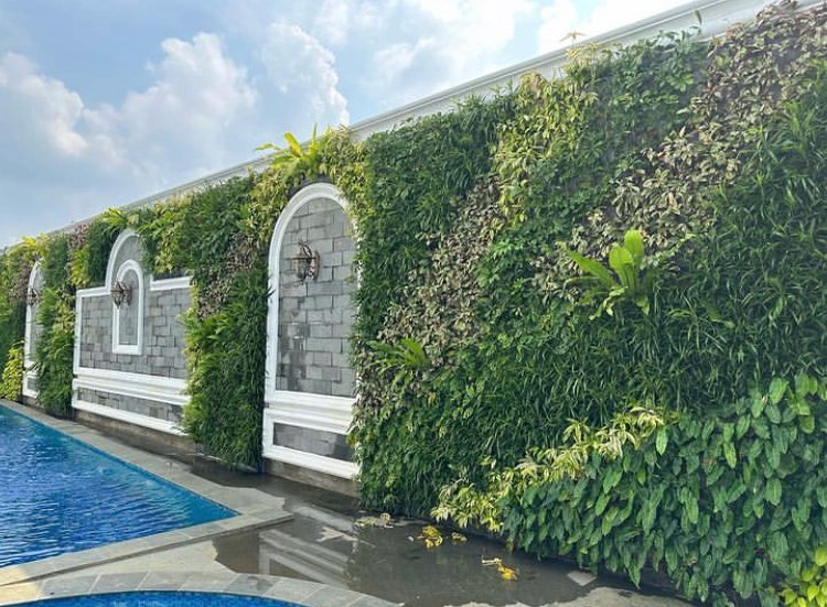 Tukang Vertikal Garden Surabaya